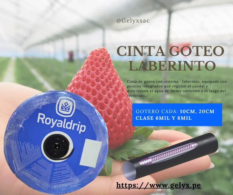 CINTA DE RIEGO LABERINTO