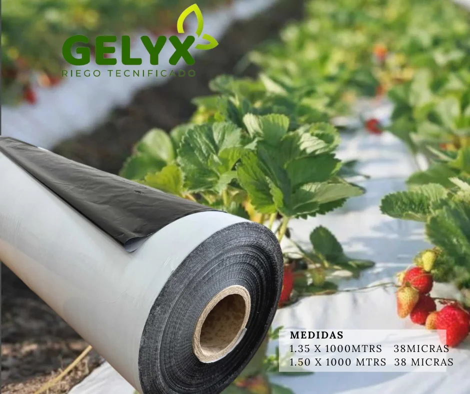 PLASTICO MULCH