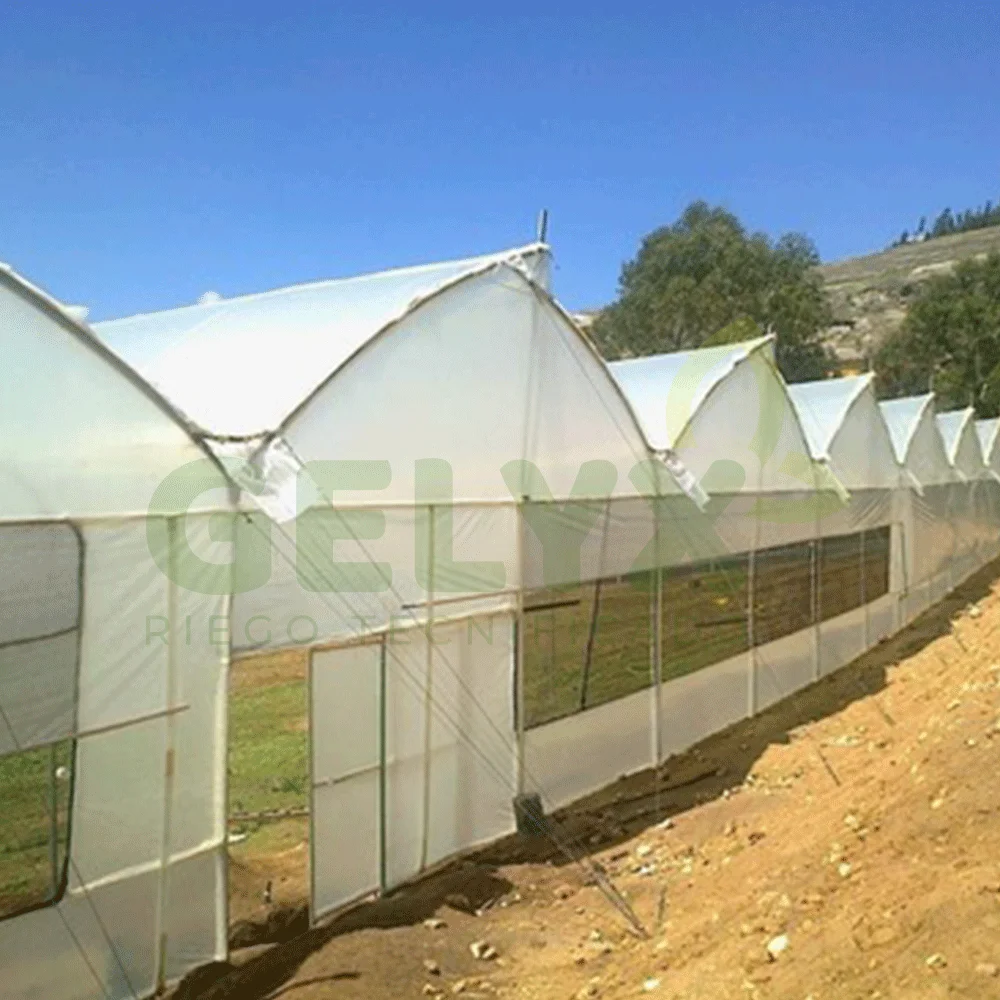 AGROFILM PARA FITOTOLDO