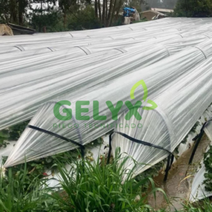 MICROTUNEL PARA FRESA