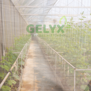 MALLA ANTIAFIDA (copia)